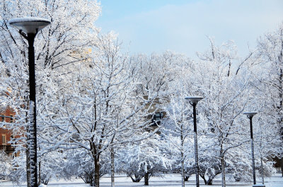 Penn State Winter Wonderland 2014 (2).jpg