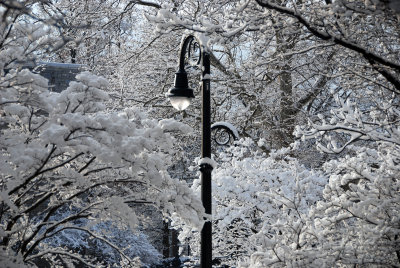 Penn State Winter Wonderland 2014 (4).jpg