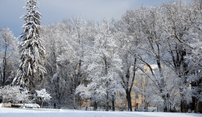 Penn State Winter Wonderland 2014 (8).jpg