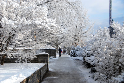 Penn State Winter Wonderland