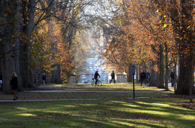 Penn State Campus Autumn (14).jpg