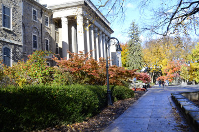 Penn State Campus Autumn (30).JPG