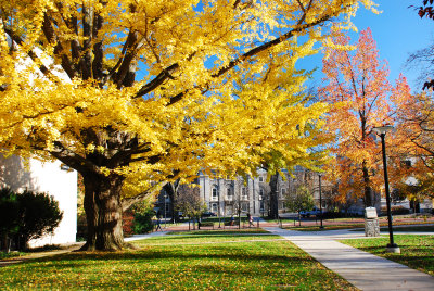 Penn State Campus Autumn (11).JPG