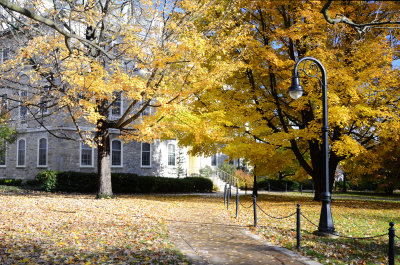 Penn State Campus Autumn (36).JPG