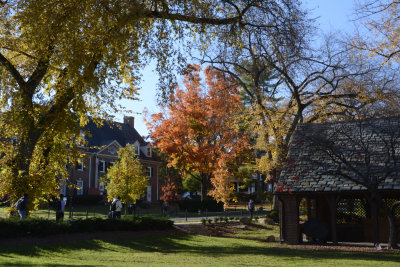 Penn State Campus Autumn (40).JPG