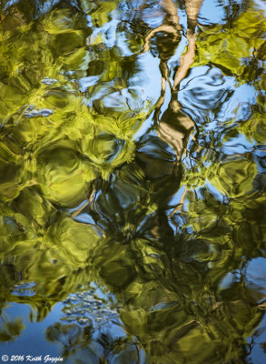 Abstract Reflections 1.jpg