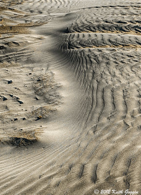 Beach 2.jpg