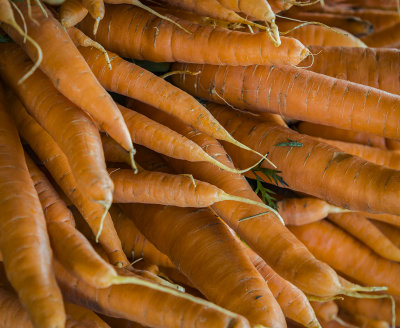 Carrots 1.jpg