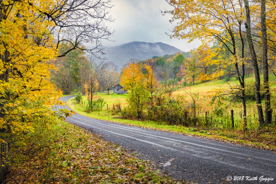Country Road 1.jpg