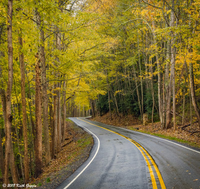 Country Road 2.jpg