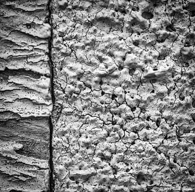 Fence Detail 1.jpg