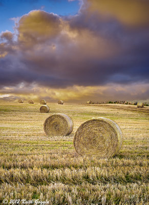 Hay Field 1.jpg