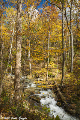 Roaring Run 1.jpg