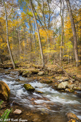 Roaring Run 2 - Copy.jpg