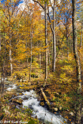 Roaring Run 6.jpg