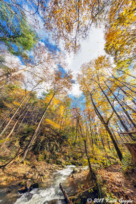 Roaring Run 7.jpg