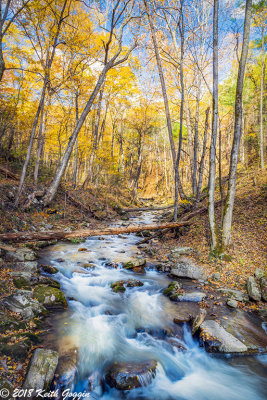 Roaring Run 9.jpg