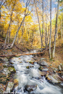Roaring Run 9c.jpg