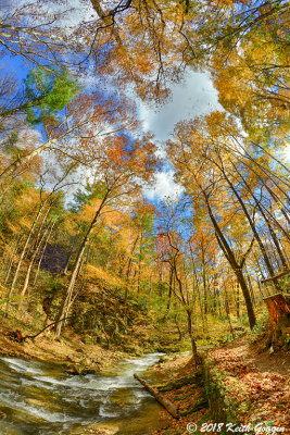 Roaring Run HDR 1.jpg