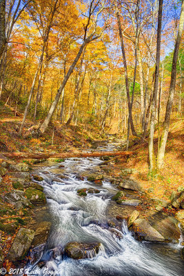 Roaring Run HDR 2.jpg