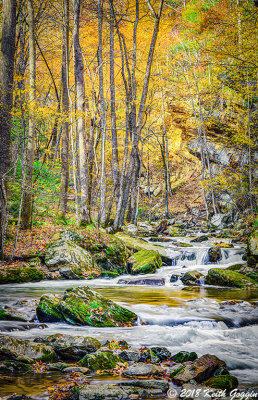 Roaring Run HDR 3.jpg
