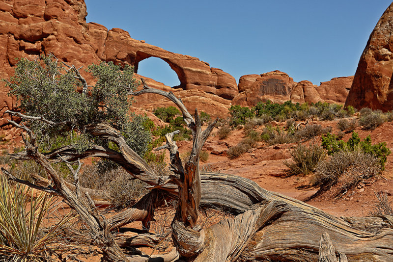 Landscape Arch