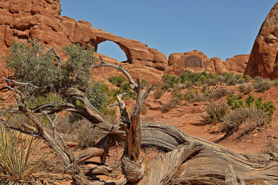 Landscape Arch