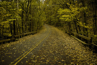 November Stroll