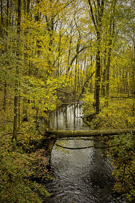 Early November