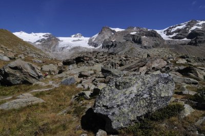 _DSC6552.jpg