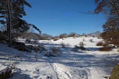 Winter in Baskemlla