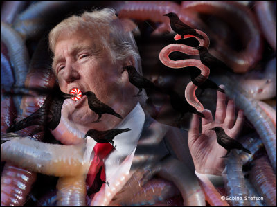 the heap of worms.jpg