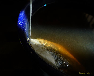 cosmos seen in a teacup.jpg