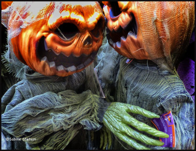 pumpkin wisperes.jpg