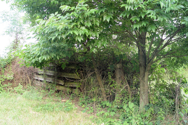 Fence