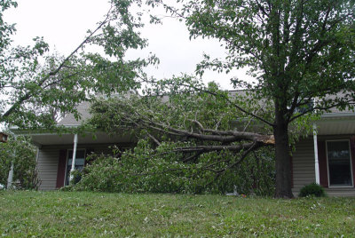 wind3.jpg