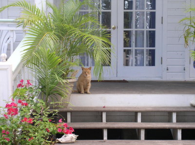 Fred keeping guard...of course.