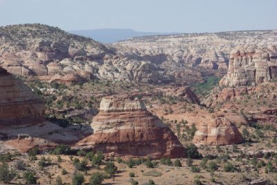 Res6.jpg