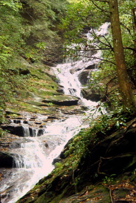stream1.jpg