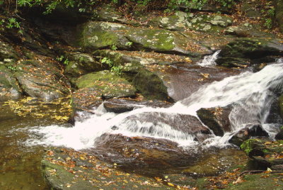 stream2.jpg