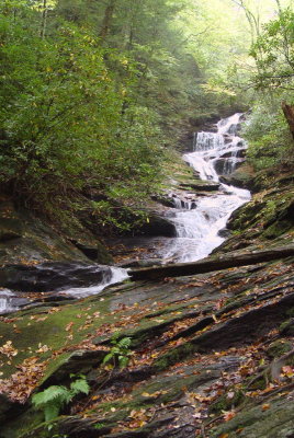 stream3.jpg