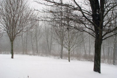February 2007 Snow