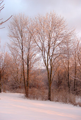 Icy Sunset 5