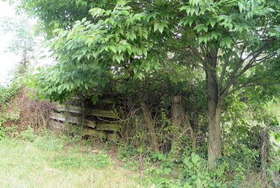 Fence