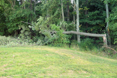 stormdamage.jpg