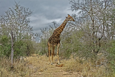 595A3980_DxO.jpg