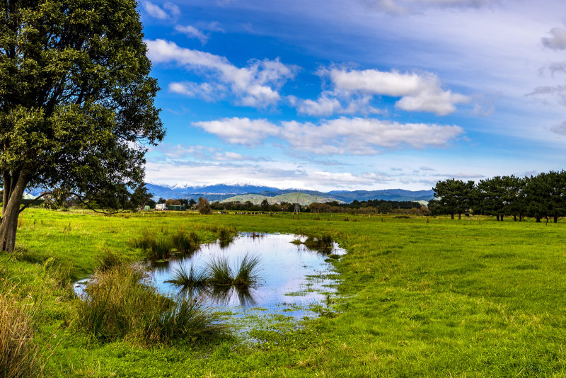 12 April 2018 - First snow on the Tararua's