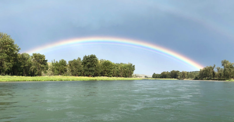 After the Storm