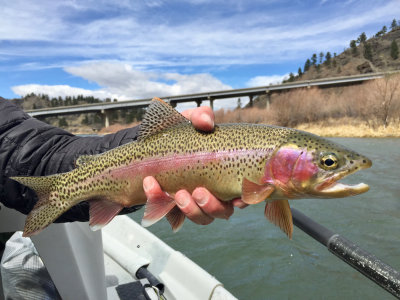 April 14-16, 2017 --- Missouri River, Montana