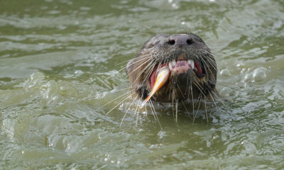 DSCF7695.jpg